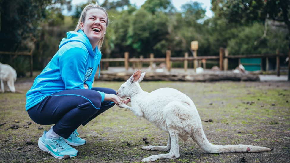 FEEDING TIME : A polite kangaroo eats from Hemp's hands