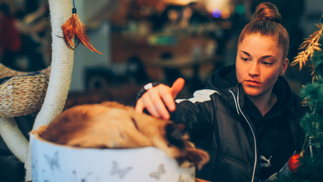 What the Cat  Cafe  dragged in Jess Park  and Laura Coombs 