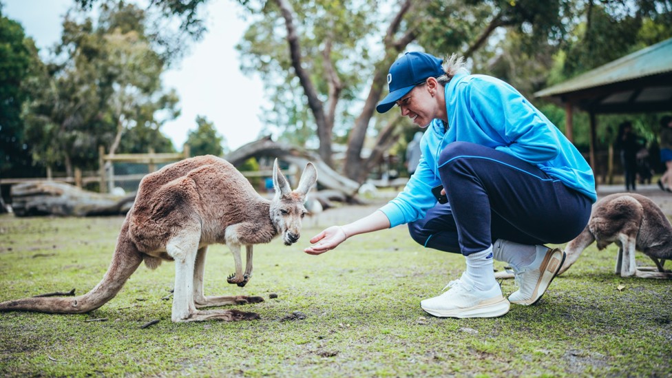 MEETING THE LOCALS : Alanna Kennedy feeds a kangaroo. 