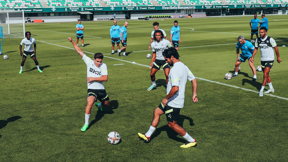 SQUAD GOALS: : The lads go through their paces amidst glorious conditions at the Real Betis training ground