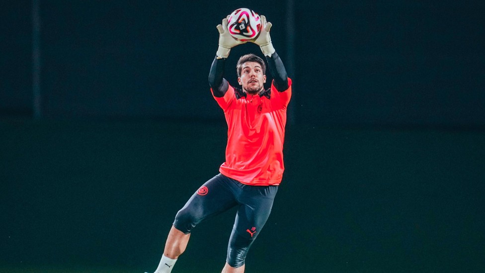 SAFE HANDS : Stefan Ortega Moreno leaps high to take a catch