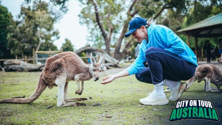 Gallery: Meeting kangaroos, koalas and wombats!