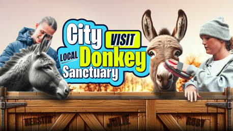 City players visit the Manchester Donkey Sanctuary