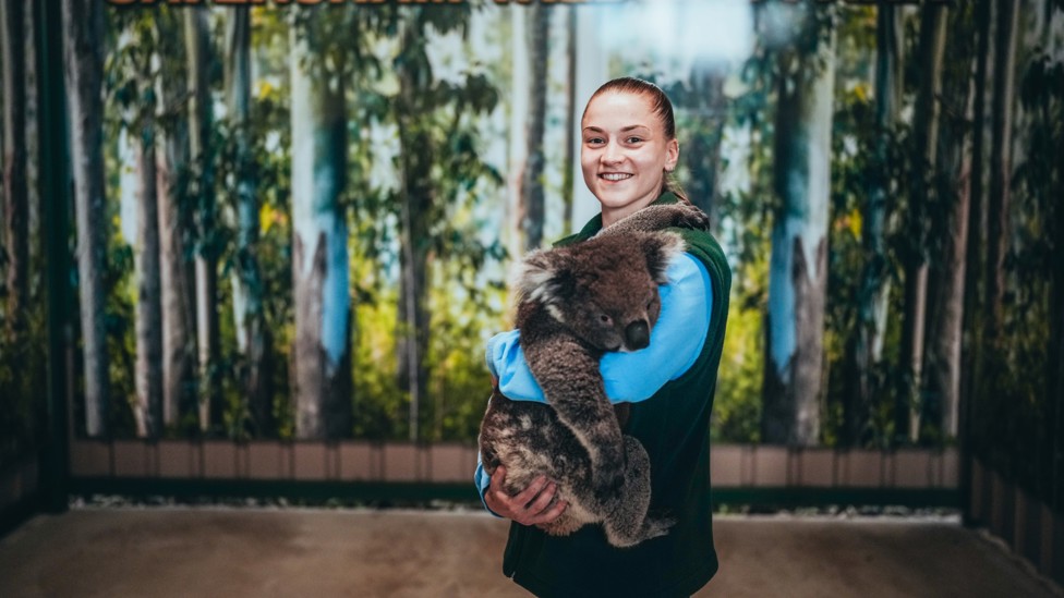 PARK RANGE : Jess keeps a hold of the koala